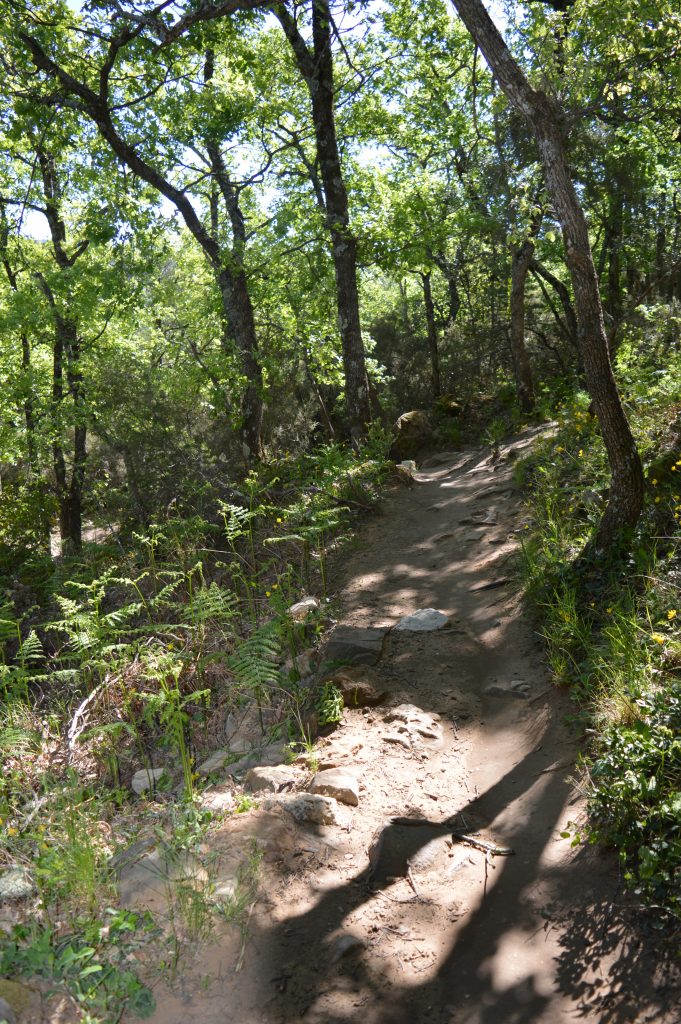 Le Colorado provençal est un espace naturel qui se visite à pied