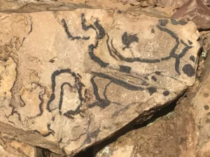 Plein de choses sont à observer au Colorado provençal