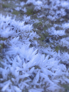 L'hiver apporte ses surprises au Colorado